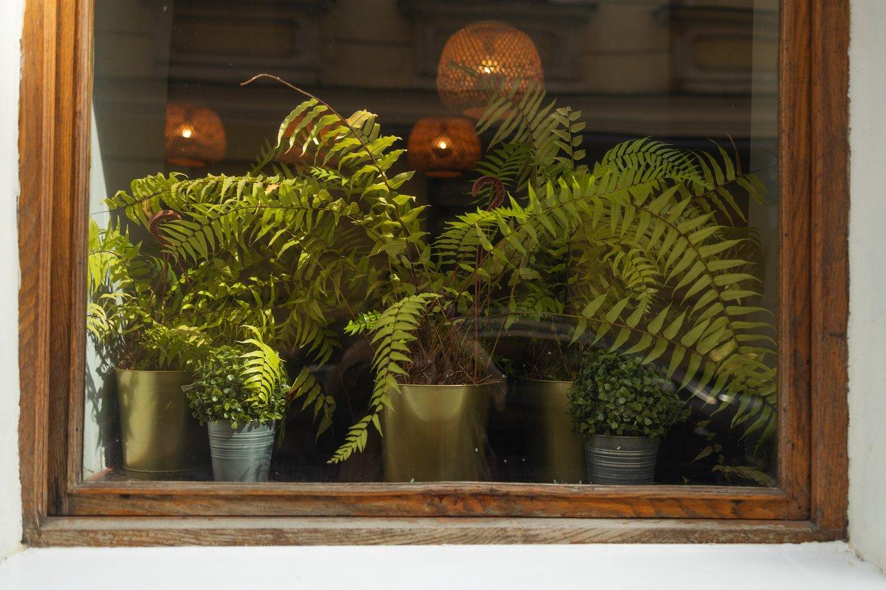 Budget affichage vitrine restaurant : optimiser visibilité et impact pendant les heures d’affluence