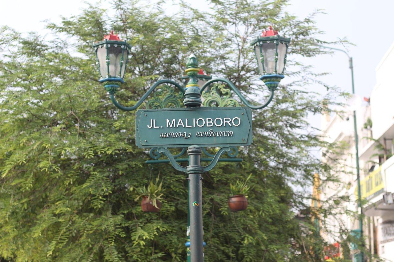 Préparer la signalétique de fin d'année pour sites touristiques : conseils essentiels